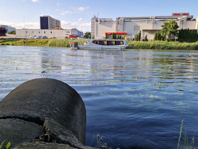 Park Centralny przed wielką zmianą! Zobacz, gdzie powstanie kąpielisko