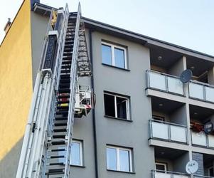 Lubelskie: Pożar kuchni w bloku. Strażacy wynieśli kota z zadymionego mieszkania