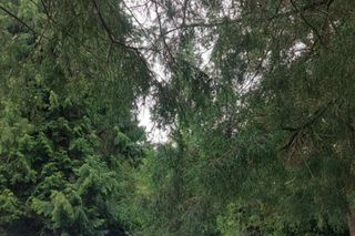 Środek lata, a tam… zima. Co się dzieje w Świeradowie-Zdroju? 