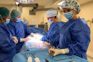 Baby boom w Olsztynie! Jedenaścioro noworodków w jedną dobę