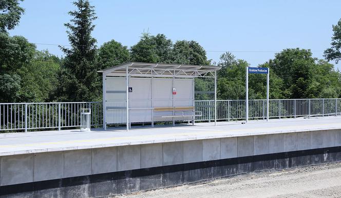 Gigantyczna inwestycja PKP w Krakowie. Prace pochłoną MILIARD ZŁ!