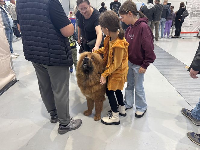 ZooPark w Lublinie. Dzień drugi