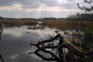 To najszybciej wyludniające się miasto w Łódzkiem.