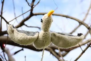 Kolorowe instalacje opanowały Lublin. Tak „Otulanie włóczką” świętuje swoje 10. urodziny!