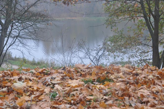 Dolina Silnicy i Zalew Kielecki jesienią