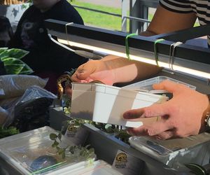 Węże, pająki i dreszczyk emocji w Bydgoszczy! Dragon Expo zachwyciło odwiedzających