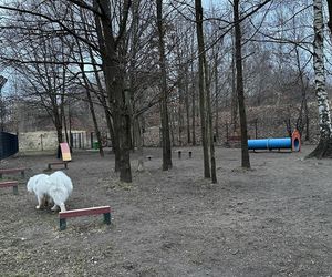 Psi park na ul. Augustów w Łodzi