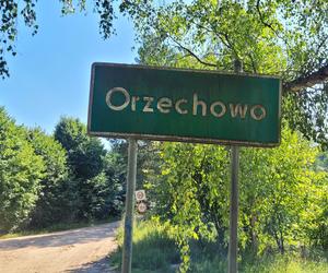 Orzechowo – zniszczona przez komunizm wieś-widmo, w której prawie nikt nie mieszka