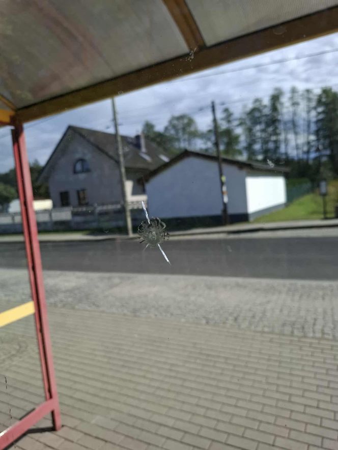 Strzały na przystanku w Dąbrowie Górniczej Antoniowie