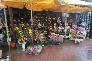 Wszystkich Świętych 2024. Sprawdź, ile kosztują kwiaty i znicze w Łodzi