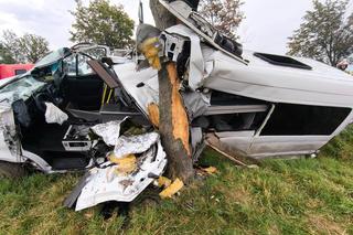 Bus uderzył w drzewo. Dwie osoby nie żyją! Makabra na drodze Wrocław - Kłodzko