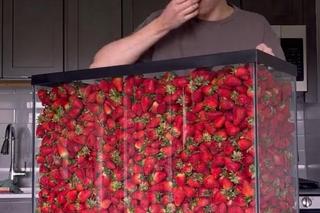 Tiktoker je truskawki 