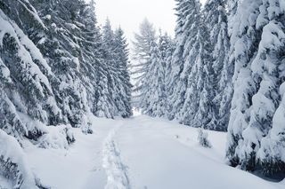 Ostrzeżenie przed opadami śniegu dla tych województw. Zima zaskoczy Polaków?