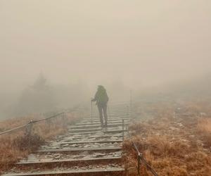 Mimo deszczu turyści odwiedzają Bieszczady