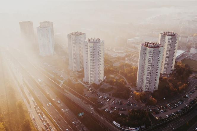 Katowice: Słoneczne Gwiazdy [ZDJĘCIE DNIA]