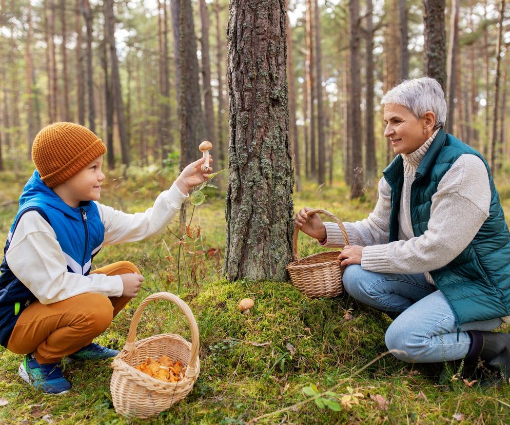 Chłopiec w pomarańczowej czapce i kamizelce podaje znalezionego grzyba uśmiechniętej kobiecie w białym swetrze i zielonej kamizelce, siedzącej obok pnia drzewa w lesie, oboje mają wiklinowe kosze pełne grzybów. Czytaj o bezpiecznym grzybobraniu na Poradnik Zdrowie.