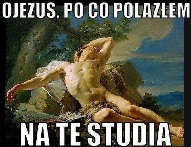 Tak studenci walczą o zaliczenie! Zobacz najlepsze MEMY o sesji!