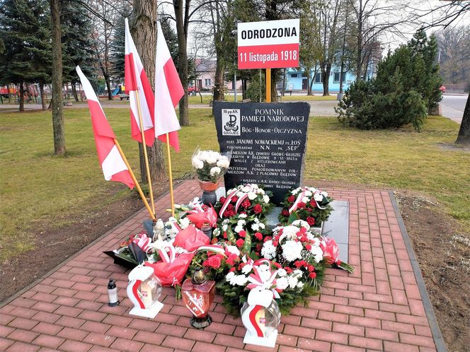 Godzinę od Warszawy leży „największy sad Europy”. To tu zabłądził sam król Kazimierz