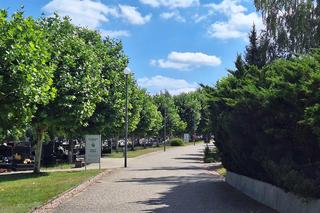 Miejsce pochówku Jacka Jaworka