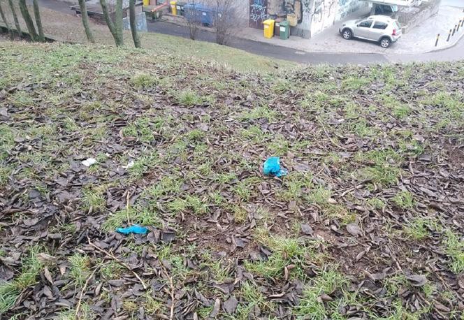 Na trawniku można zaobserwować jeszcze pozostałości po niebieskich workach z psimi fekaliami. 