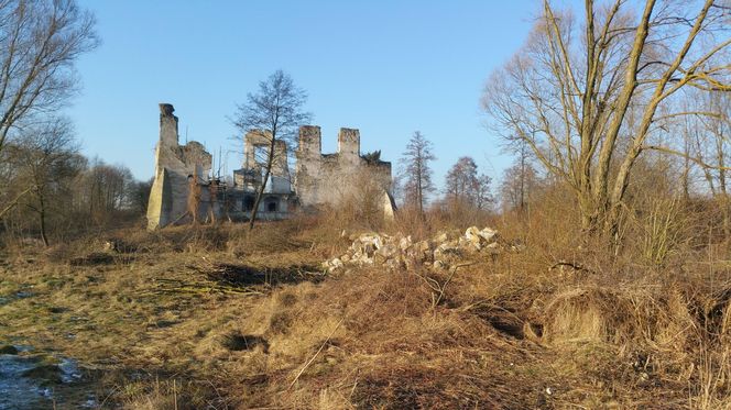 Ruiny zamku w Mokrsku Górnym