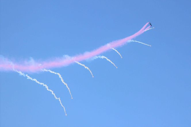  FA-50 Golden Eagle. Sacheon Air Show 2024