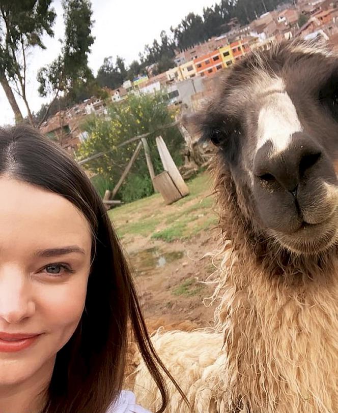 Lama zepsuła jej selfie