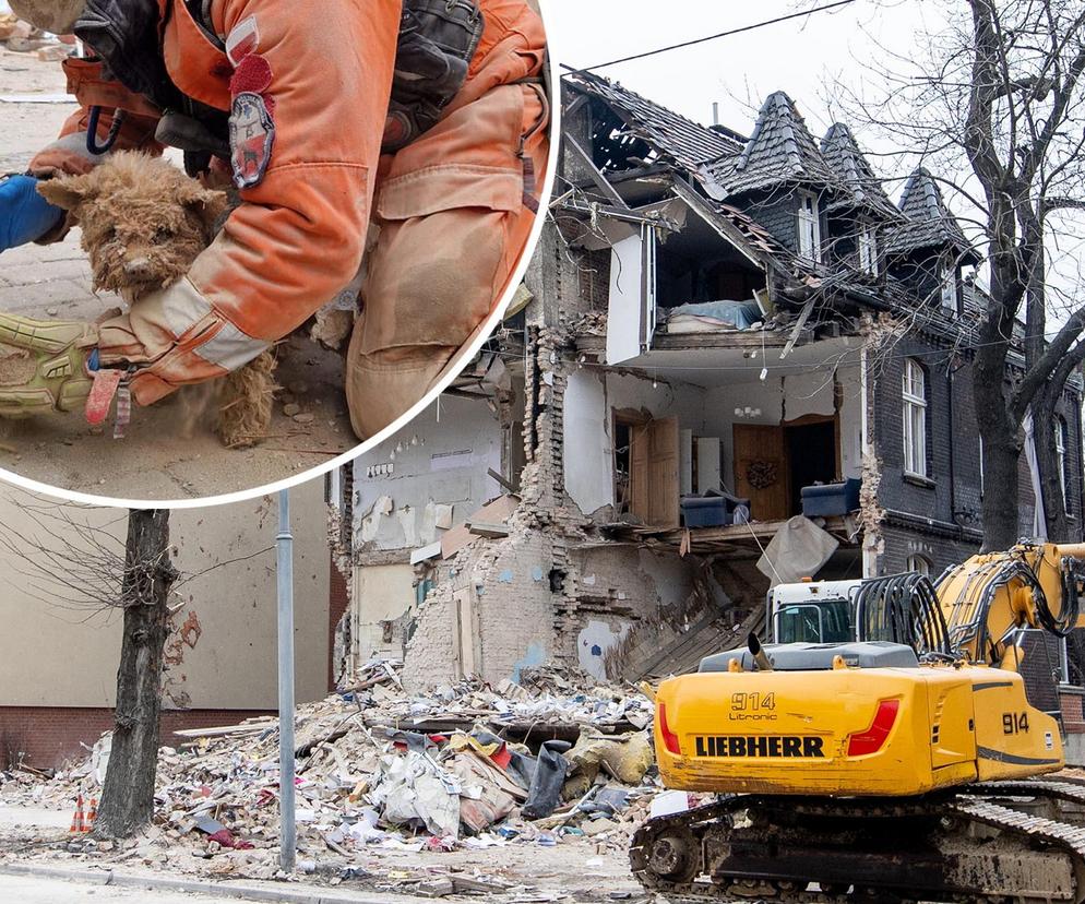 Maksiu cudem przeżył pod gruzami zawalonej kamienicy. Nie opuścił swojej pani 