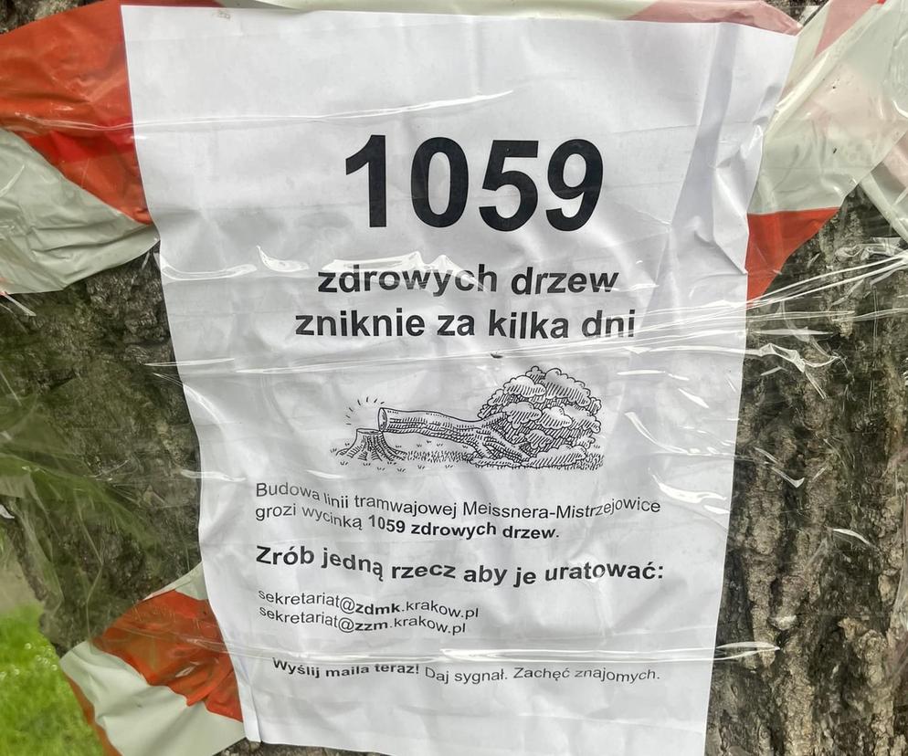 Tramwaj do Mistrzejowic. Trwa spór o ogromną wycinkę drzew. Urząd obiecuje nasadzenia w Krakowie