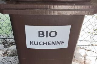 W Przemyślu rozdają żółte i czerwone kartki. Są też kary finansowe! 