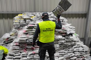 Ekologiczne panele podłogowe? Nic bardziej mylnego! Prawie tona marihuany w kontenerze z Kanady 