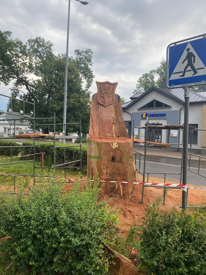 Wyrzeźbili tron z pnia znanego hrubieszowskiego dębu