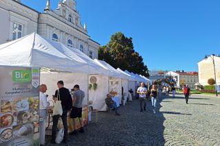 Festiwal Karpaty na Widelcu w Rzeszowie
