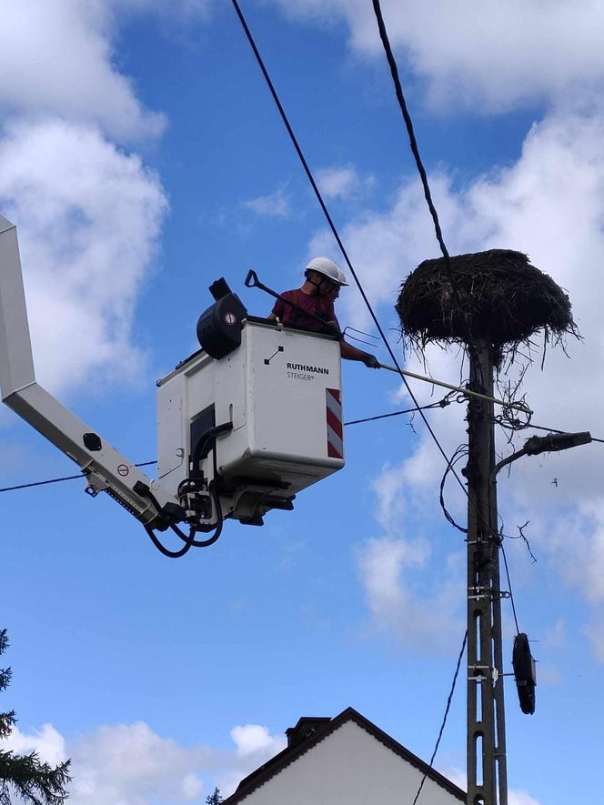 Deszcz uszkodził dom bocianiej rodziny w Krutyni
