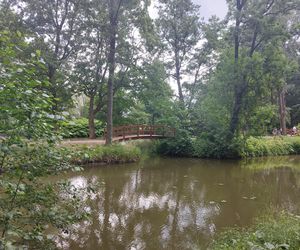 Zabytkowy park odzyskał blask! Kiedyś był majątkiem dworskim, teraz cieszy mieszkańców  Rzeszowa