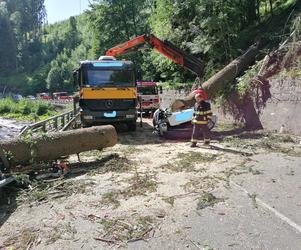 Świerk spadł na opla w Karkonoszach. W śmiertelnym wypadku zginął 15-latek i dwie kobiety