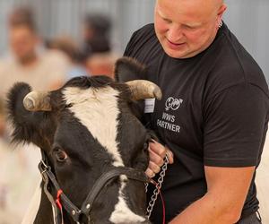 Jesienne Targi Rolnicze w Gryźlinach 2024. Wydarzenie przyciągnęło tłumy. Zobacz zdjęcia