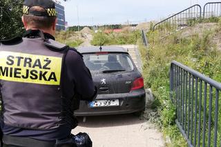 Gdańsk: Łosie na drodze. Zobacz, jak nie parkować [GALERIA, AUDIO]