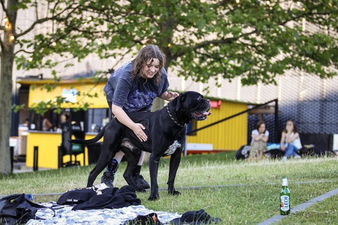 KATO Centrum 2025. Koncert HERtz  na tarasach Spodka