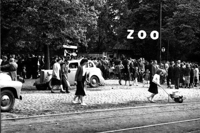 Kultowe miejsca na odpoczynek w Łodzi kilkanaście lat temu