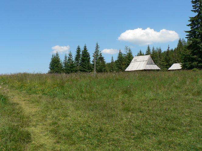Polana Kopieniec