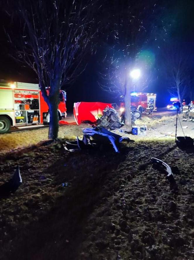 Stępków: Roztrzaskał się o drzewo. Makabryczna śmierć 20-latka