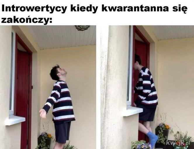 Memy o kwarantannie