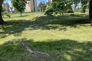 Skwer Jagiellonów w dzielnicy Czarnów w Kielcach