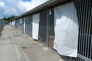 ​W schronisku dla zwierząt w Henrykowie koło Leszna montują markizy. Dadzą psom cień w gorące dni