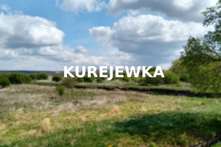 Kurejewka