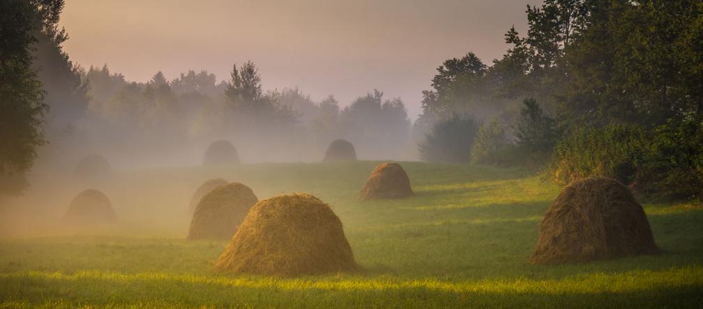 Baśniowy klimat o poranku na Podkarpaciu