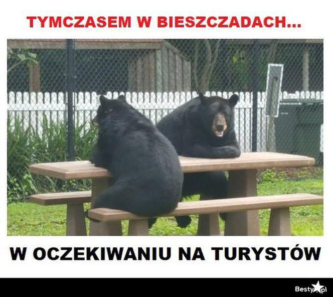 Memy o Podkarpaciu 