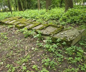 Cmentarz żydowski w Leżajsku