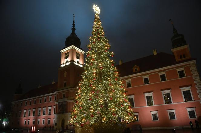 Choinka na Placu Zamkowym już świeci